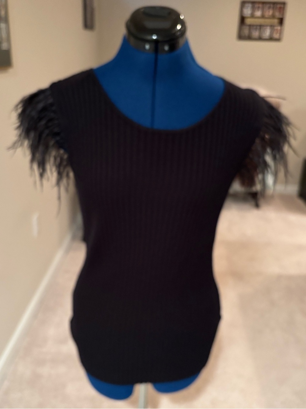 Sioni Black Ribbed Tank with Feathered Cap Sleeves